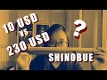 Shinobue Comparison: $10 VS $230?! What's the difference?