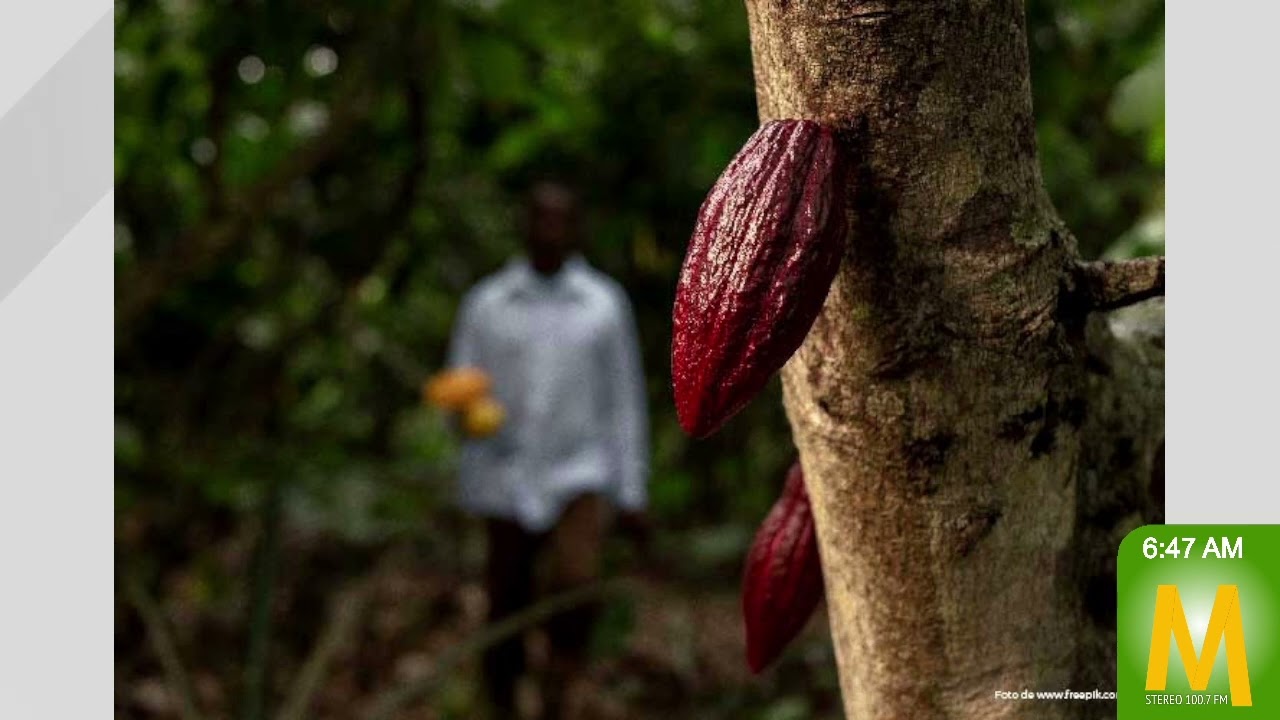 Procuraduría formuló pliego de cargos a exgerentes del IFEG
