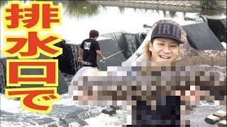 大量の排水場でスズキを狙ったらヤツがキタ!!