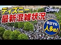 【速報】修学旅行シーズン突入目前で人数増加‼️今日のディズニーリゾート1周の旅【2026.5.15】