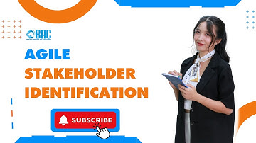 Agile Stakeholder Identification