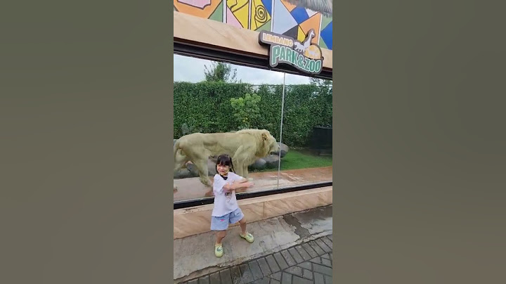 Wisata Bandung | Lembang Park And Zoo | Harimau