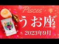 【うお座】2023年9月♓️すごい…今回は特別…！絶句するほどの奇跡的な並び、遂に来る現実化のとき、約束の大吉報