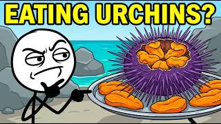 Why Do We Eat Sea Urchins?