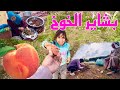 الحاج طلع يشوف الشقه وجمعت الخوخ من شجرنا جبتلها خوخ 🍑 خزنتلى فروله (ملبد بالغيوم )