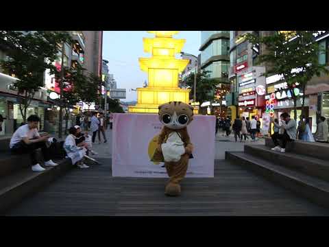 JHKTV] shinchon special mask <strong>cat</strong> mercy in <strong>my</strong> heart 신촌명물고양이 마음엔 자비를