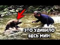 Медведица не могла спасти медвежат из холодной воды, но то, что случилось дальше удивило весь мир