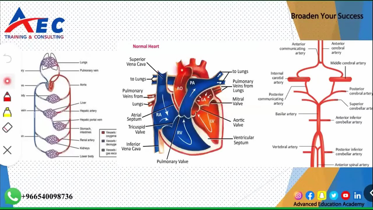 Saudi Radiologic Technologist Licensure Examinationامتحان ترخيص فني واخصائي الأشعة(STYLE)#radiology