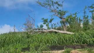 Saipan, Nature will prevails on the Isle of many Mansions