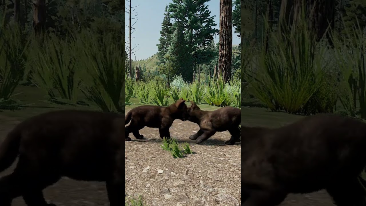 Cutest Pups Playing WolfQuest 3 AE