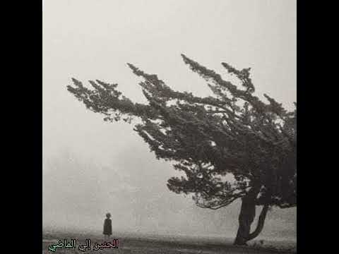 موسيقي تصويريه نادره من مسلسل عفاريت السياله عمار الشريعي