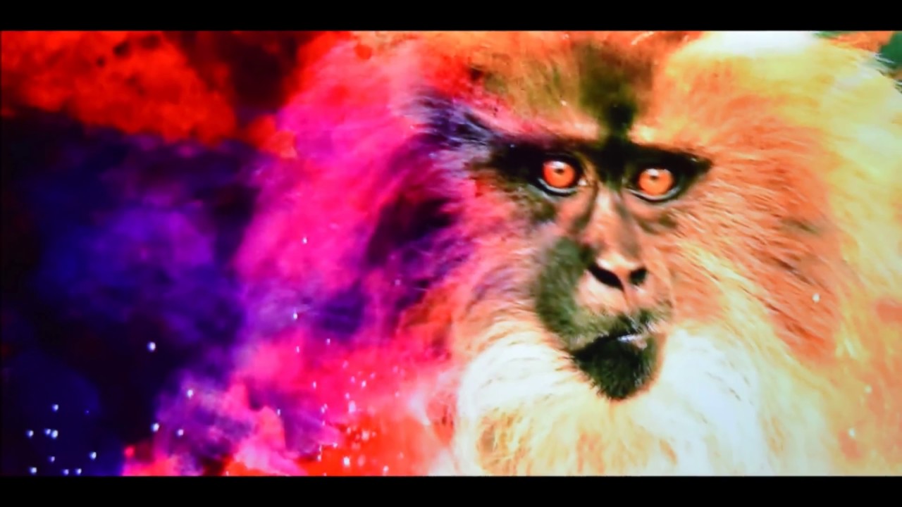 India's Natural Beauty!