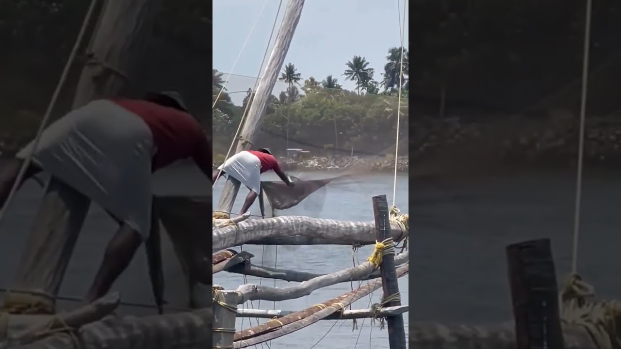 Chinese net fishing technique in Kerala  