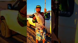 Pescando un gran LingCod #pesca #lineadepesca #fishing #playa #pez #peces #fish  #beach #fyp