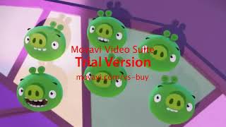 Angry Birds Stella - Amv - We R Who We R
