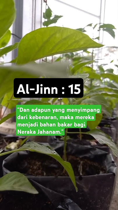 Astaghfirullah #shorts #doa #shalawat #ayatquran