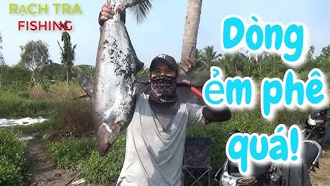 LÊN HÀNG EM TRA BÃI ĐÁ - CẦU RẠCH TRA SÔNG SÀI GÒN