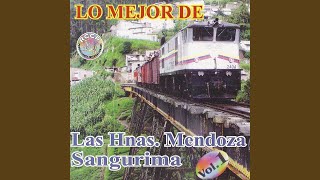 Video thumbnail of "Las Hnas. Mendoza Sangurima - Cuitas de Amor"