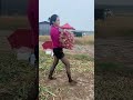 It was so hard to go to the fields in the afternoon on the hoeing day and it started to rain aga