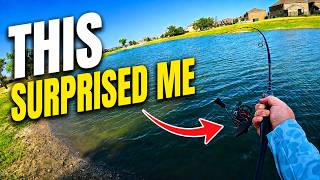 This Fishing Combo Actually Surprised Me! (Summer Bass Fishing Ponds in Fort Worth, TX)
