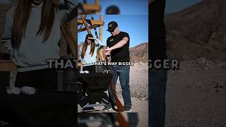 Rare 19th Century Big Game Hunting Rifle | Pawn Stars