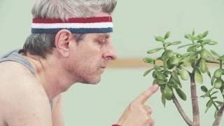 Mike Gordon - Fall Tour 2016