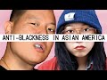 ANTI-BLACKNESS IN THE ASIAN AMERICAN COMMUNITY | Cheyenne Lin