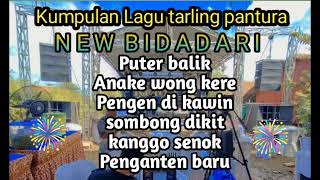 Kumpulan Lagu Tarling Pantura  Puter Balik  Anake Wong Kere new Bidadari Lagu Tarling Terbaru