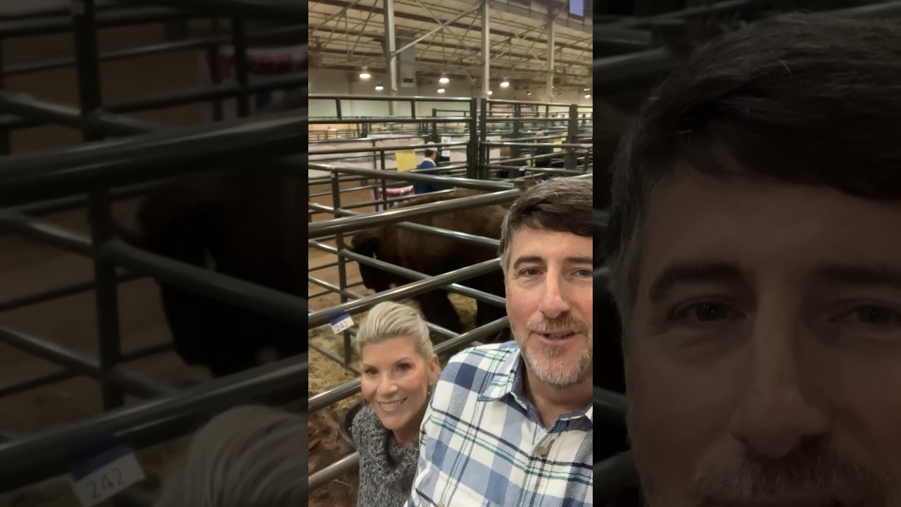 Oklahoma Bison Association Show and Sale 2023, Oklahoma City YouTube