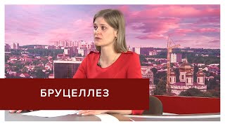 Чем опасно сырое мясо и молоко?