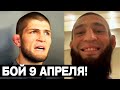 Бой Хамзата Чимаева 9 апреля [В РАЗРАБОТКЕ] ! Хабиб ОТПРАВИЛ СООБЩЕНИЕ, UFC 270