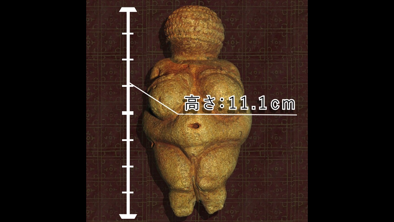 綺麗なヴィーナス像 原始時代の女性像👩《ヴィレンドルフのヴィーナス》約25000年前