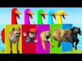 Choose the Right Door Duck Cartoon Elephant Tiger Hyena Buffalo Scary Teacher 3D Funny Videos