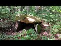 Видео 03 (часть 4) - Странный дольмен без пазов (Хамышки)