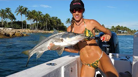 BIG SNOOK fishing in south Florida