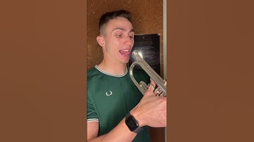 Types of trumpet players (obnoxious edition) #trumpet #band #brass #musician #trumpeter