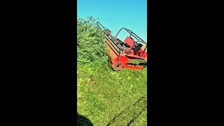 This RC Mower Changes Everything #gadget #tools