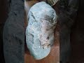 2 Stone Heads