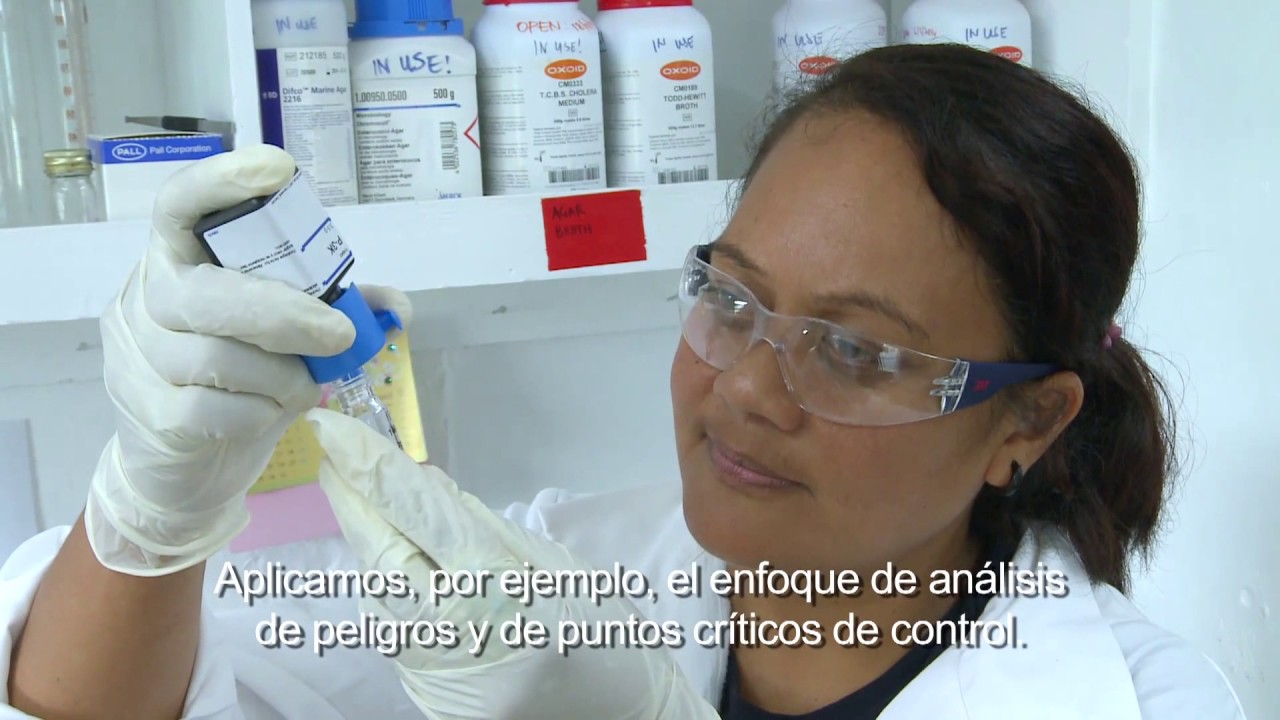 Normas alimentarias del Codex en las Islas Cook: alimentos inocuos y de calidad, apoyo a la economía