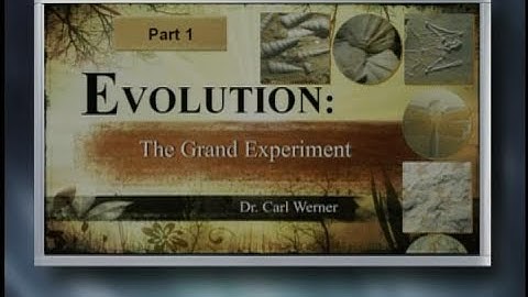 Origins: Evolution, The Grand Experiment (Part 1)