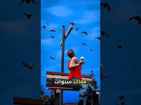 إياك تمزح مع غراب مهم صار معلومات   98 تجربة
