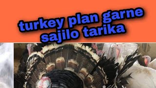 टर्की पालन कसरी गरने// turkey farming in nepal /successful farmer //turkay palan nepal