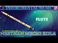 Neethan Mechi Kolla | Instrumental Music | Flute Solo | Flute Solo Instrumental
