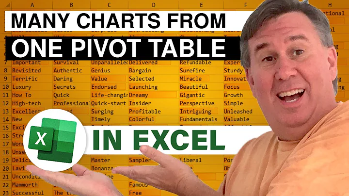 Learn Excel 2010 - "Many Charts but One Pivot Cache": Podcast #1596