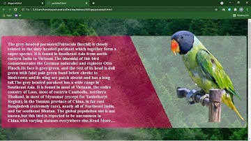 How to make the slanted div| slope div |using Html| CSS