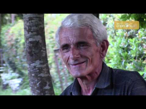 ერთი ოჯახის ჰიდროელექტროსადგური