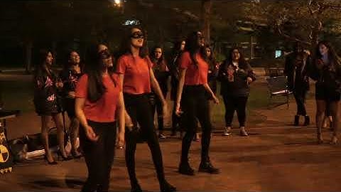 Delta Phi Omega Sorority, Inc | Chi Chapter (Rutgers Newark): L.U.C.I.D.  Lambda Class Probate