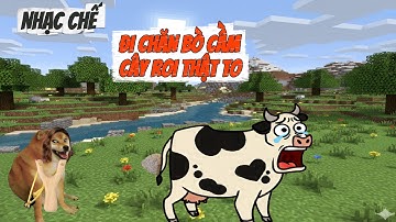 NHẠC CHẾ DING DING TV: ĐI CHĂN BÒ CẦM CÂY ROI THẬT TO