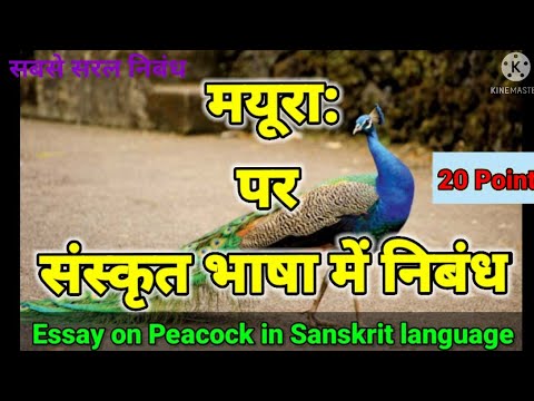 peacock essay in sanskrit