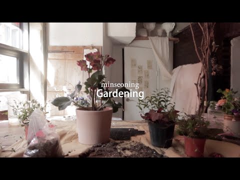 봄엔 같이 화분 심어요:) 분갈이 쉽게 하는 방법, 플로리스트 브이로그, gardening